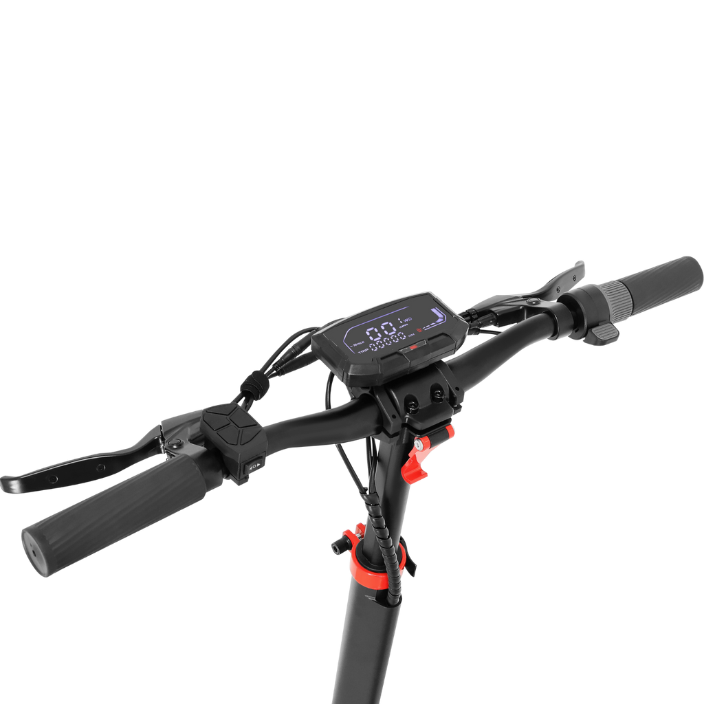 Zwheel Zwolf