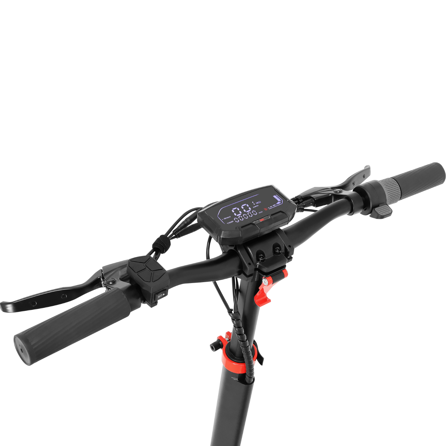 Zwheel Zwolf